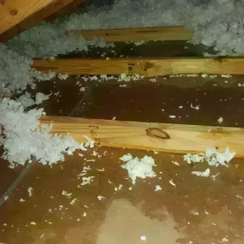 Attic Water Damage in Johnson County, TX