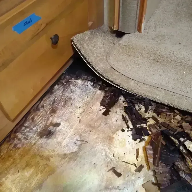 Wood Floor Water Damage in Johnson County, TX